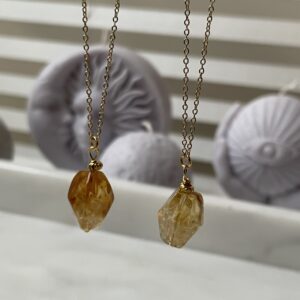 Amulet Mauritius (na sukces i pieniądze)